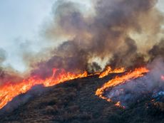 Field On Fire