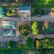 Bird's eye view of a raised bed garden